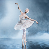 Балет «Лебединое озеро»