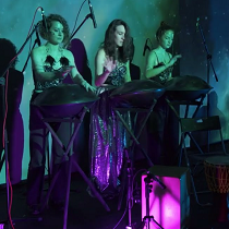 Концерт «Космические звуки ханга»