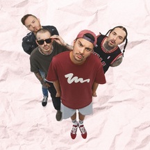 Rock Privet на крыше Roof Place