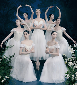 Балет «Жизель, или Вилисы»