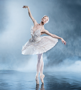 Балет «Лебединое озеро»