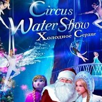 Новогоднее шоу «Цирк на воде «Анна и Эльза - Холодное с...»