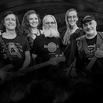 Группа «Alex Division»