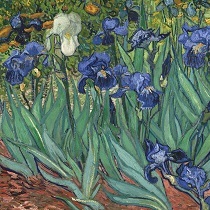 Мастер-класс по живописи «Ирисы Ван Гога»