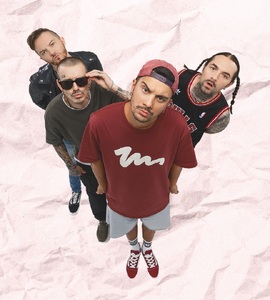 Rock Privet на крыше Roof Place